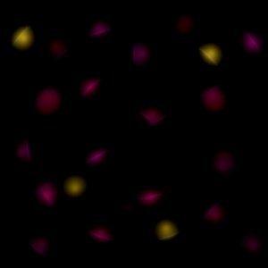 Confetti Lights in the Night Background
