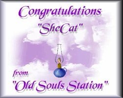 Susan's Old Souls Award
