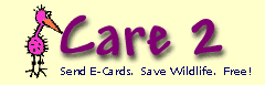 Care2: Animated Groundhog Day Cards