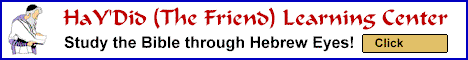 Haydid Learning Center