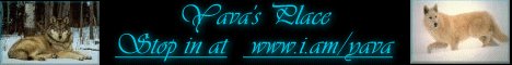 Nadine's logo