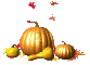 Autumn Gourds