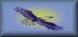 Native American Awarness Continued N-Z