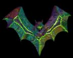 Bat