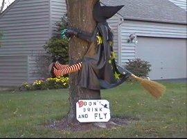 Don't drink and fly!