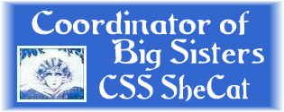 CSS Big Sisters logo